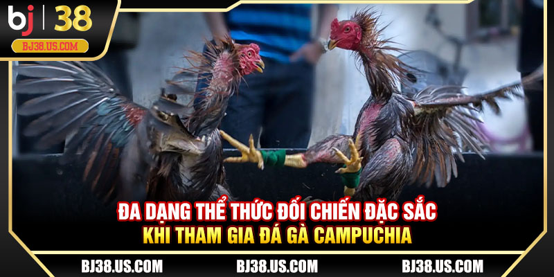 Đa dạng thể thức đối chiến đặc sắc