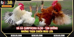 Đá gà Campuchia