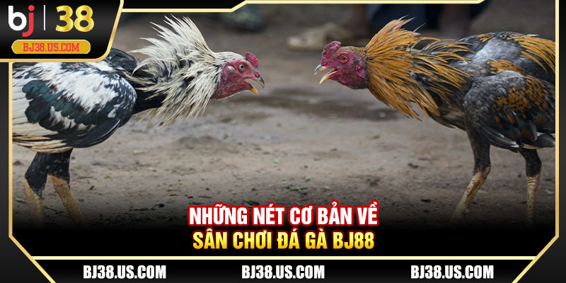 Những nét cơ bản về sân chơi đá gà BJ88